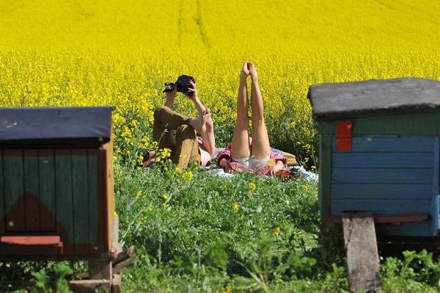 z6676155Q,Kadr-z-filmu--Afonia-i-pszczol