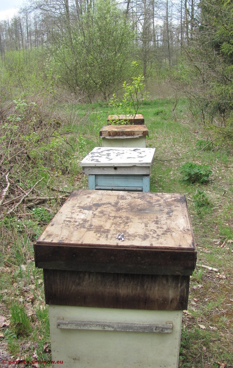 2017-04-30-Y04Dobiesz_debile_ukradli_pap