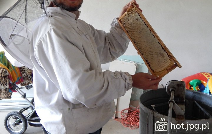 f781745558ecc5fd4f6071f2edba70d4_normal.