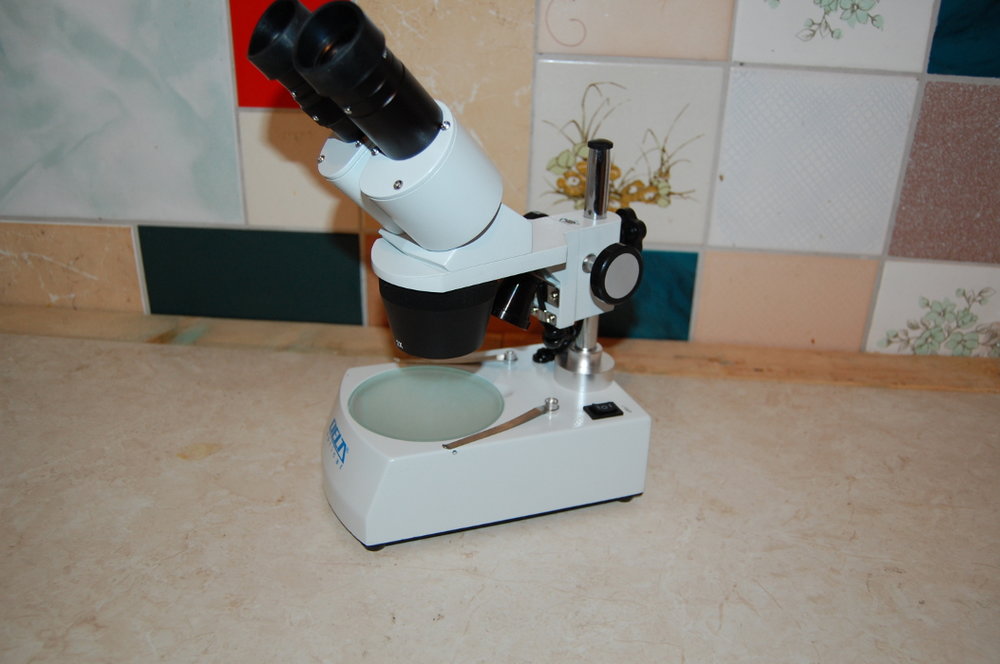 mikroskop1.JPG