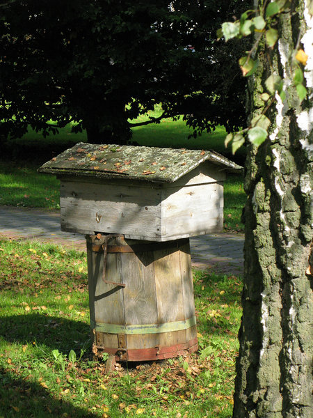 tonno_74294e9719cb142a160af21fc5869b6e.j