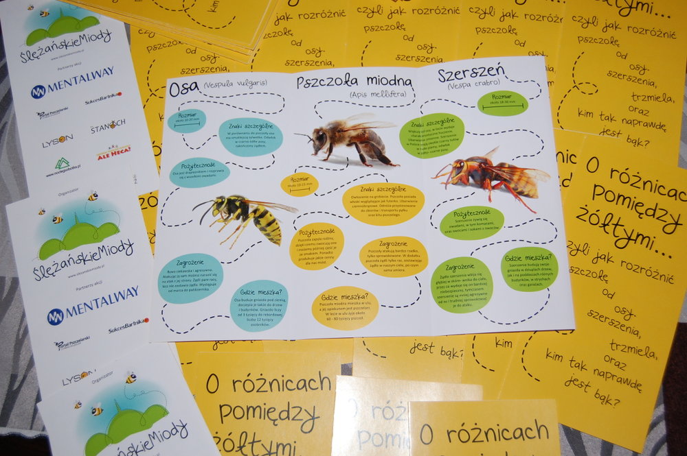 ulotka-edukacyjna-slezanskie-miody-4.JPG
