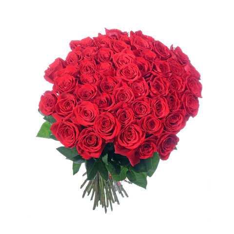 Dla naszych Pań.jpg