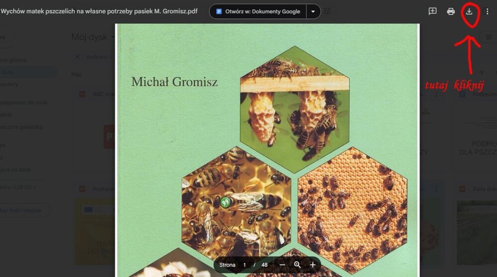 2025-03-24_19h55_14 kopia.jpg